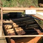 Install the device to beehive