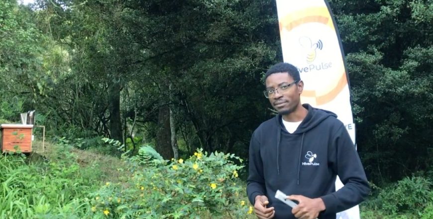 what-is-hivepulse